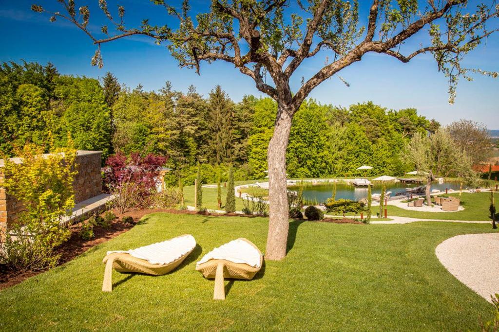 Golden Hill Country Chalets & SuitesWaldschach エクステリア 写真