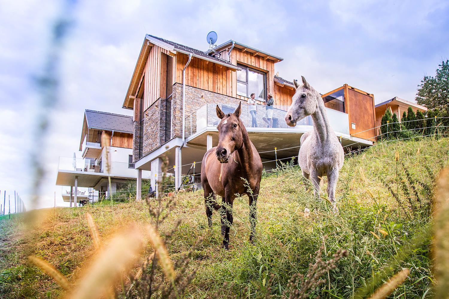 Golden Hill Country Chalets & SuitesWaldschach エクステリア 写真
