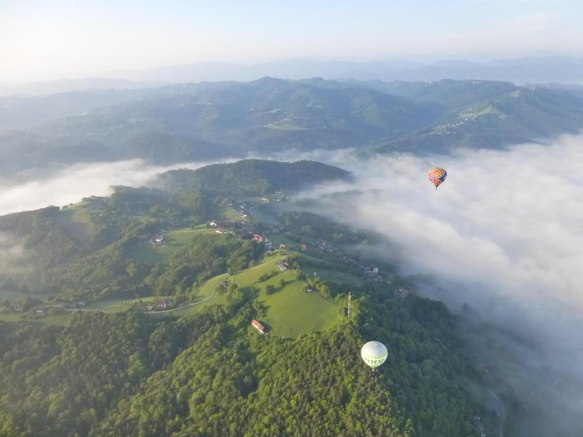 Golden Hill Country Chalets & SuitesWaldschach エクステリア 写真