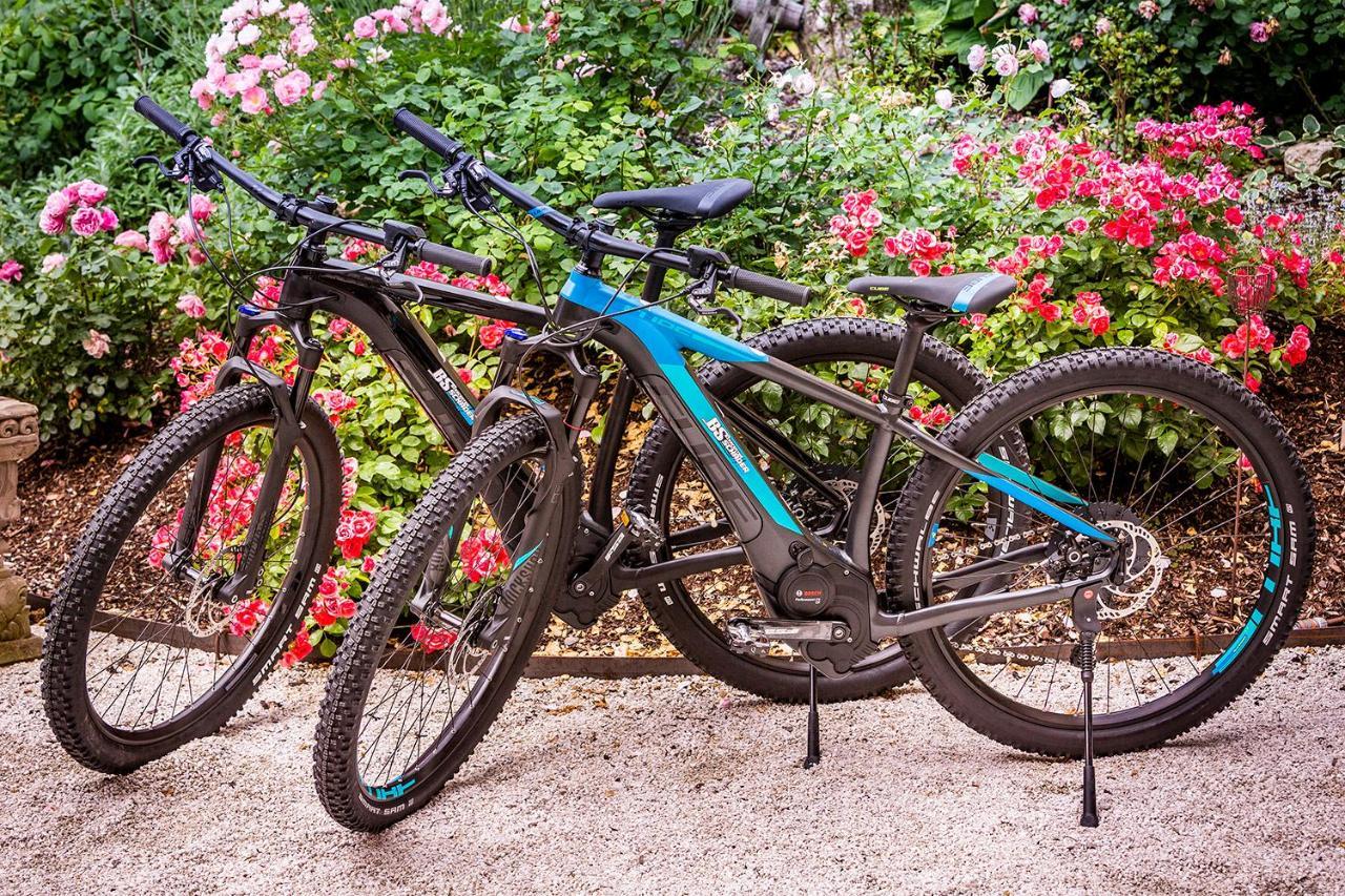 Golden Hill Country Chalets & SuitesWaldschach エクステリア 写真