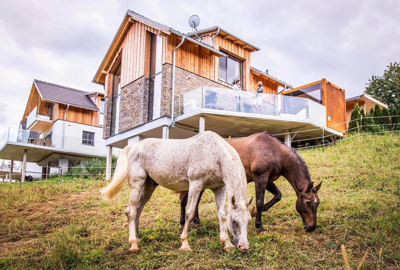 Golden Hill Country Chalets & SuitesWaldschach エクステリア 写真