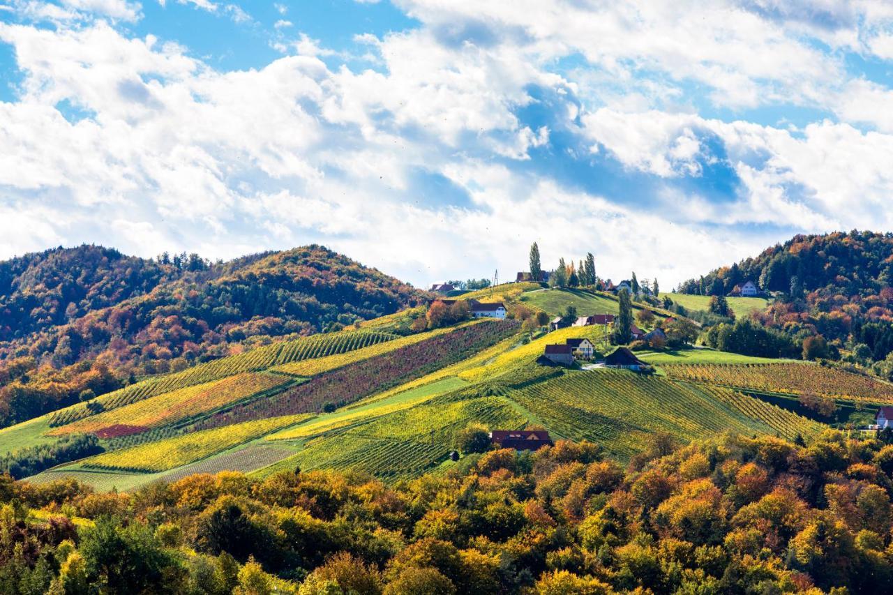 Golden Hill Country Chalets & SuitesWaldschach エクステリア 写真